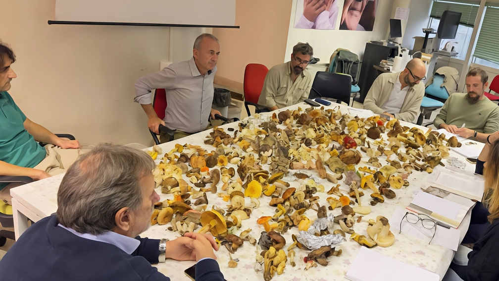 Formazione continua per i tecnici a disposizione dei cittadini gratuitamente Formazione continua per i tecnici a disposizione dei cittadini gratuitamente