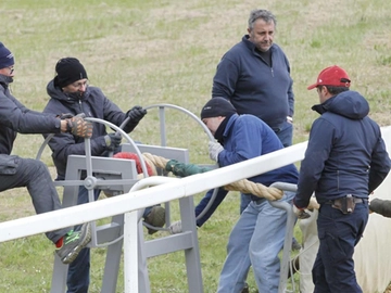 immagine articolo