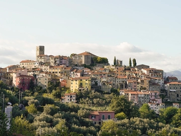 immagine articolo