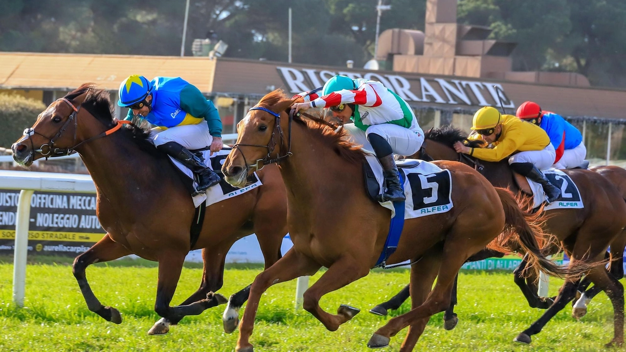 Il Palio dei Comuni a San Rossore. Calci può fare festa con Kir Royal