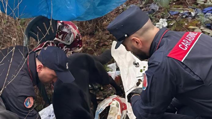 rotonda scatta l’operazione