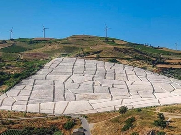 immagine articolo