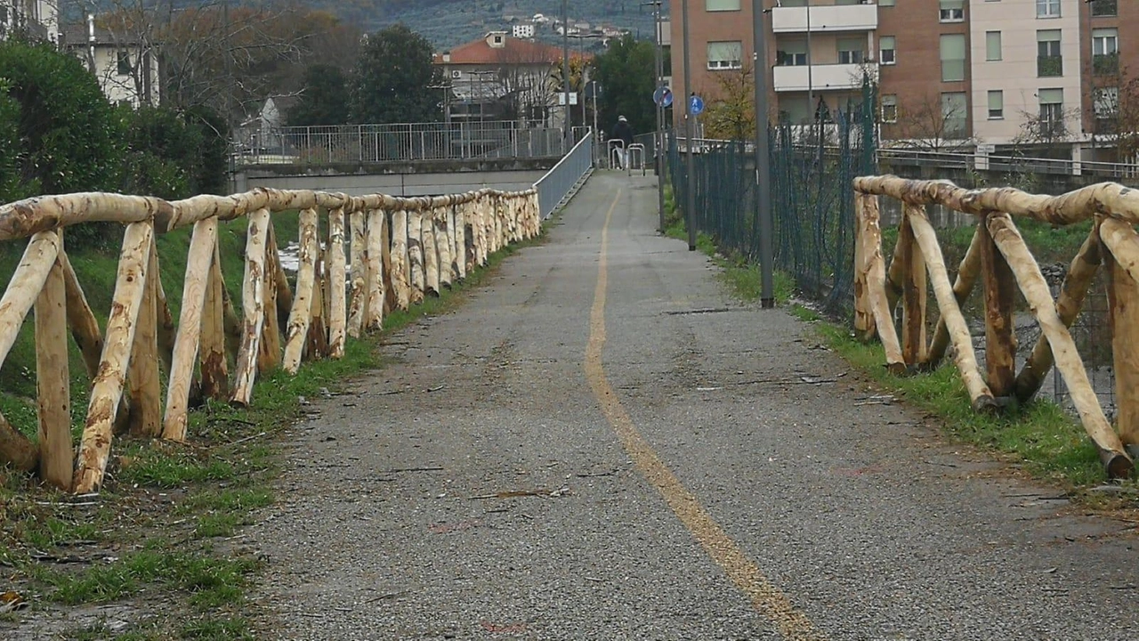 "I lavori sono ormai prossimi alla chiusura. Con questo intervento, saranno rinnovate le staccionate dei principali percorsi ciclabili cittadini". Il... "I lavori sono ormai prossimi alla chiusura. Con questo intervento, saranno rinnovate le staccionate dei principali percorsi ciclabili cittadini". Il...