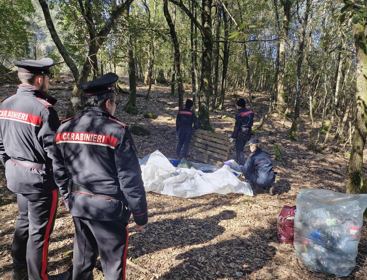 Trovato bivacco della droga. Uomo con il passamontagna aveva pistola e coltelli Trovato bivacco della droga. Uomo con il passamontagna aveva pistola e coltelli