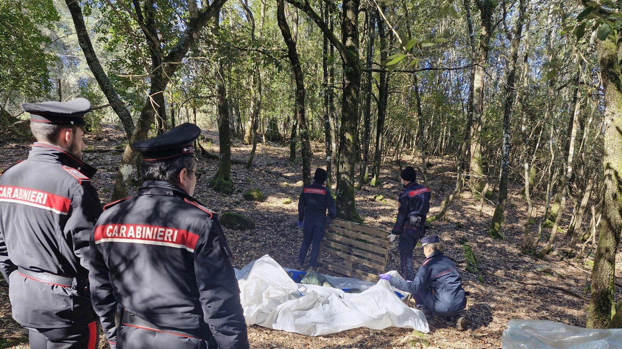 I carabinieri l’hanno scoperto in un bosco sulla Sp 66, a Piancastagnaio. Per evitare l’arresto ha preso a calci e pugni i militari, finiti in ospedale.