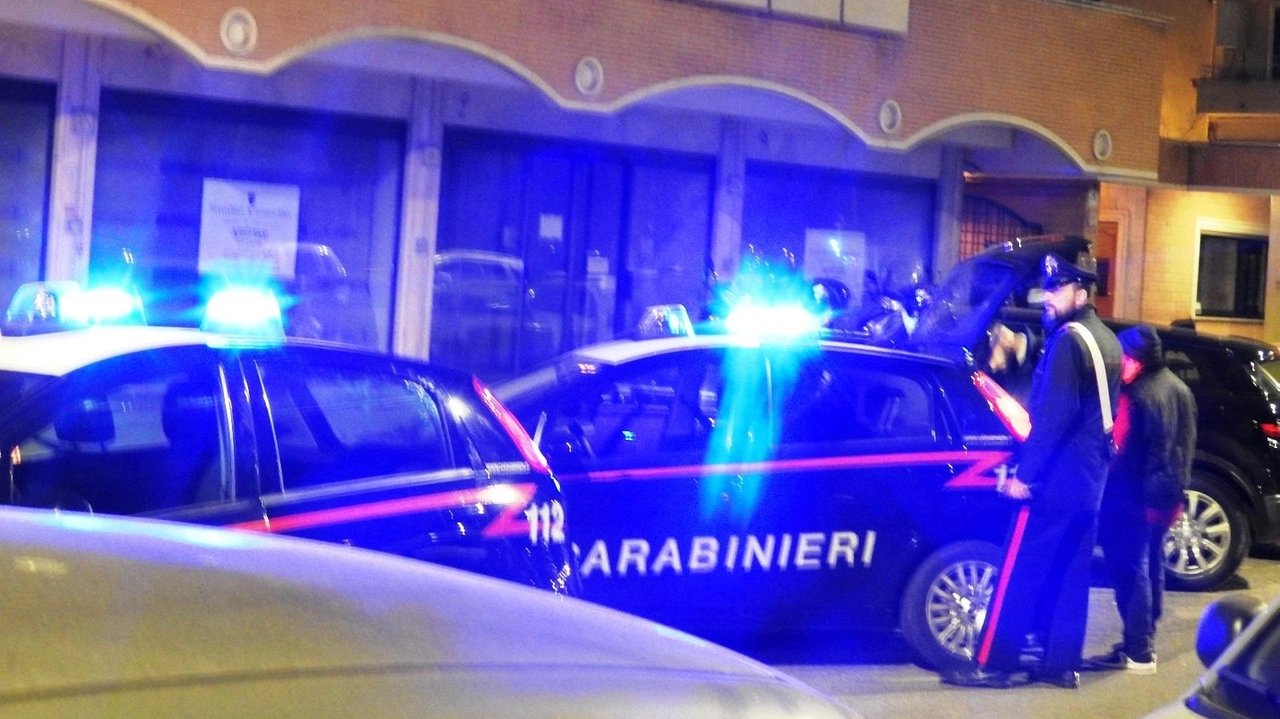 Vasta operazione di controllo del territorio della notte scorsa (. foto di repertorio Vasta operazione di controllo del territorio della notte scorsa (. foto di repertorio