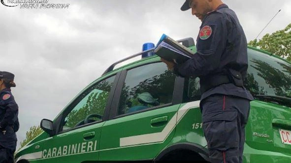 L’udienza preliminare scaturita dall’inchiesta keu tornerà in aula il prossimo 19 settembre davanti al gup Mancuso