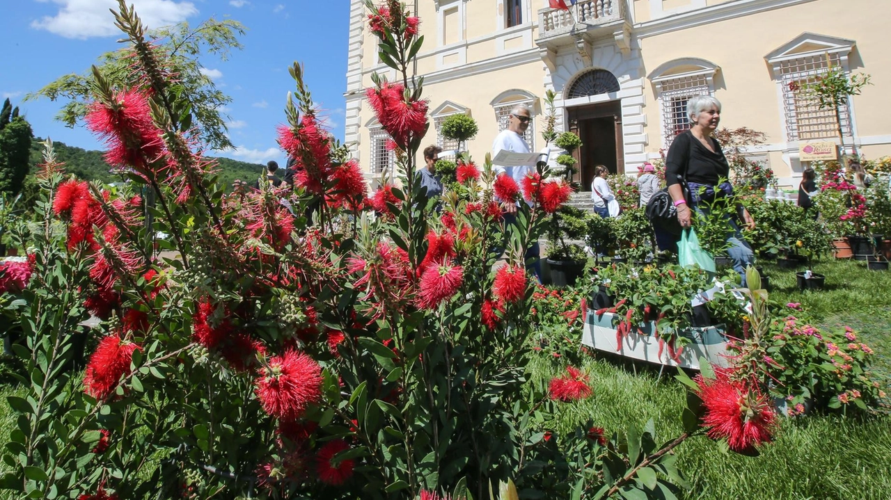 Oggi e domani tutti i luoghi della cultura statali restano aperti gratuitamente. Con mostre, visite guidate e iniziative speciali Oggi e domani tutti i luoghi della cultura statali restano aperti gratuitamente. Con mostre, visite guidate e iniziative speciali