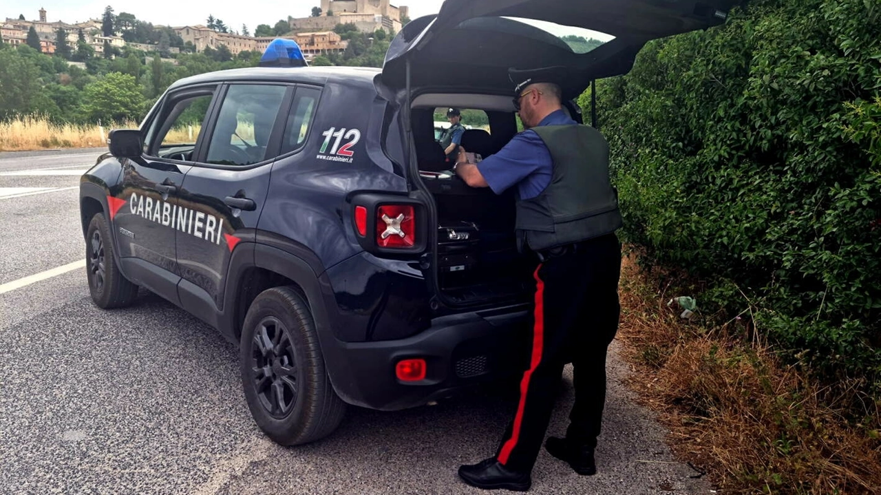 La madre della bambina ha denunciato tutto ai carabinieri (Foto di repertorio) La madre della bambina ha denunciato tutto ai carabinieri (Foto di repertorio)