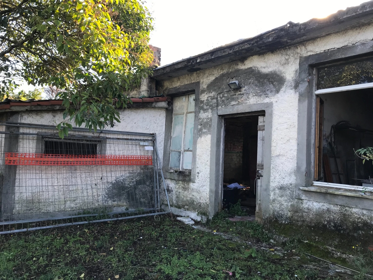 immagine di sfondo 5