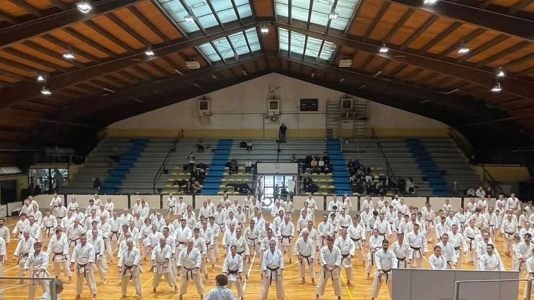 karate karate