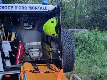 immagine articolo
