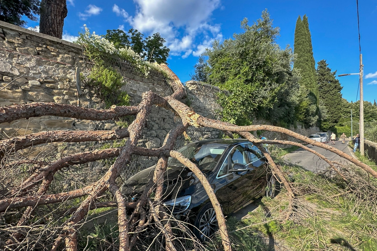 immagine di sfondo 1