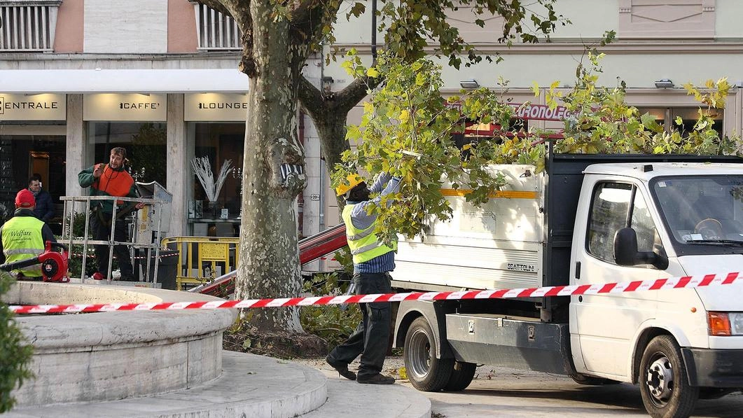 I tecnici al lavoro in piazza del Popolo