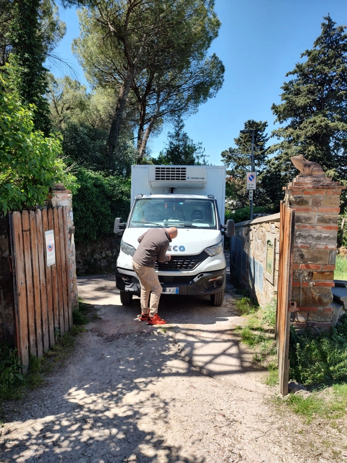 immagine di sfondo 1
