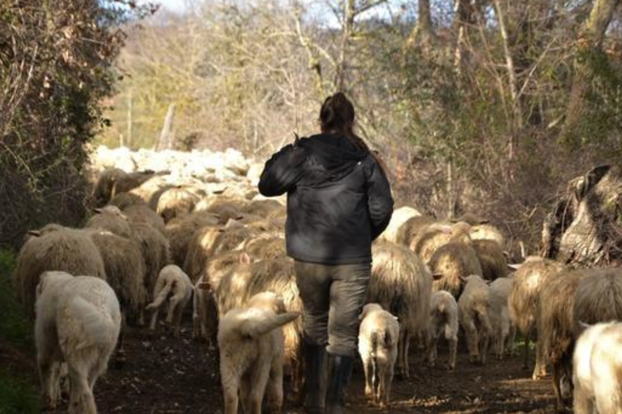 Un volontario del progetto 'Pasturs'