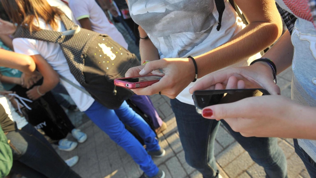 Ricerca: conversazioni o consigli, la metà lo fa ogni giorno Ricerca: conversazioni o consigli, la metà lo fa ogni giorno