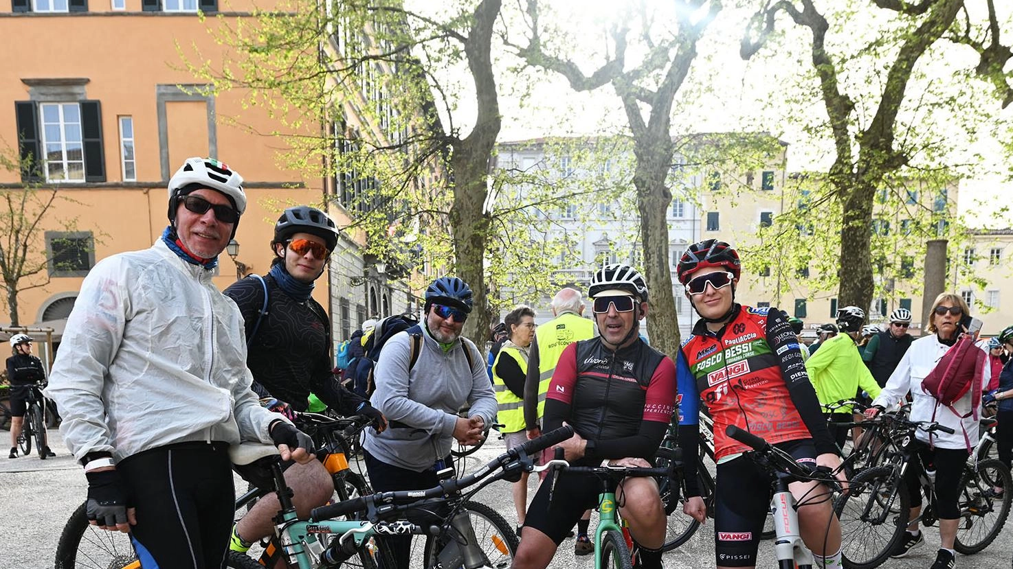 I negozianti lucchesi confermano la tendenza e l’interesse in crescita per il ciclismo sportivo e non solo. Laurie Warren di Amici Bici: “Molti turisti vogliono venire a fare lo stesso percorso della corsa rosa".
