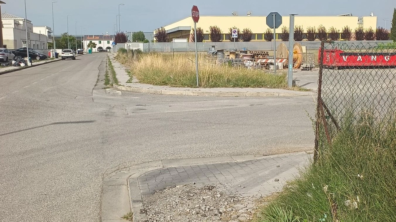 Una delle situazioni di degrado e incuria segnalate dal Pd di Ponsacco sui social relativamente alla zona industriale
