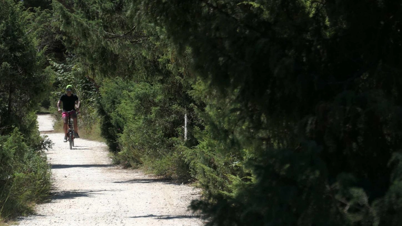 In via Trittico un ragazzo nella furia di una lite ha preso a pugni una donna e danneggiato due auto. Rissa tra due gruppi di giovani sul lungomare: turisti dell’entroterra feriti a cinghiate sono finiti in ospedale. In via Trittico un ragazzo nella furia di una lite ha preso a pugni una donna e danneggiato due auto. Rissa tra due gruppi di giovani sul lungomare: turisti dell’entroterra feriti a cinghiate sono finiti in ospedale.