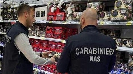 I carabinieri del Nas hanno sospeso la licenza a un commerciante per varie irregolarità trovate nel negozio I carabinieri del Nas hanno sospeso la licenza a un commerciante per varie irregolarità trovate nel negozio