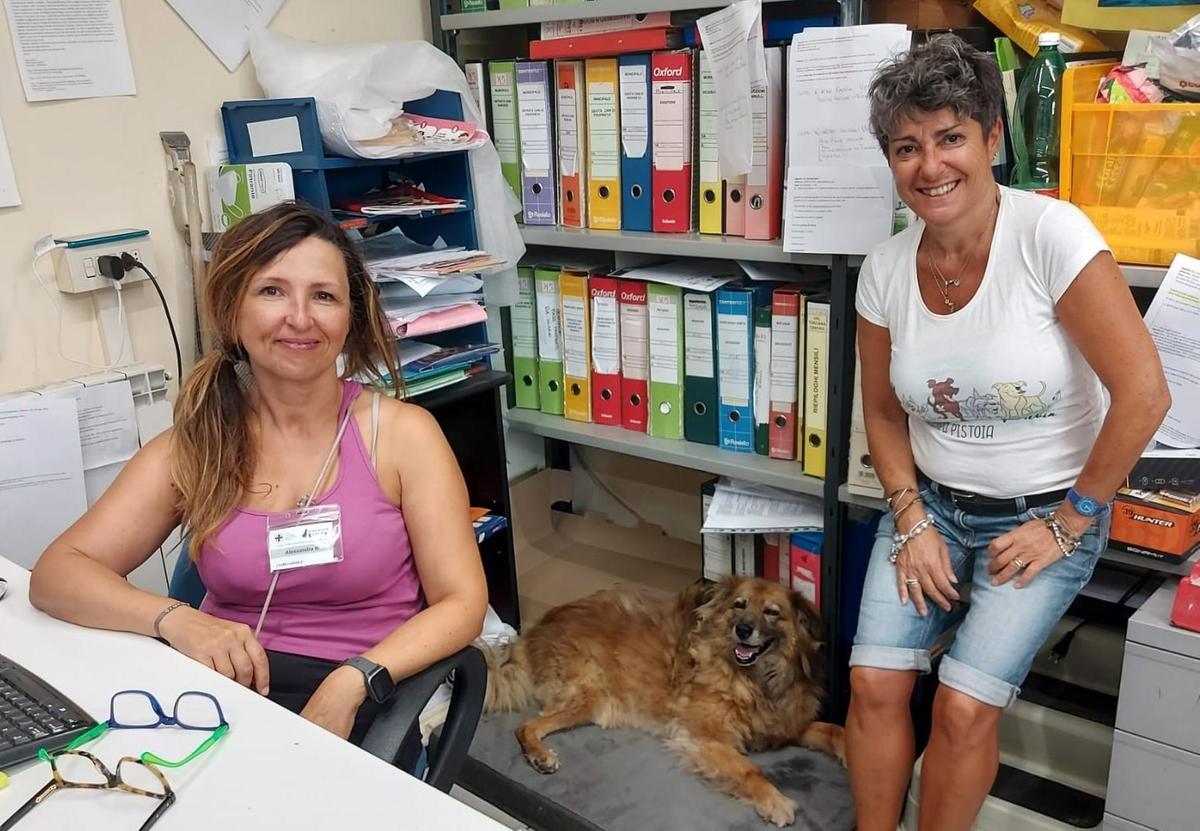 fiocco miri e gli altri le prime vacanze al mare del barboncino non vedente