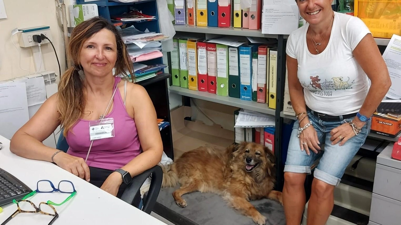 Da sinistra Alessandra Bonechi, Giada e Federica Ammannati Da sinistra Alessandra Bonechi, Giada e Federica Ammannati