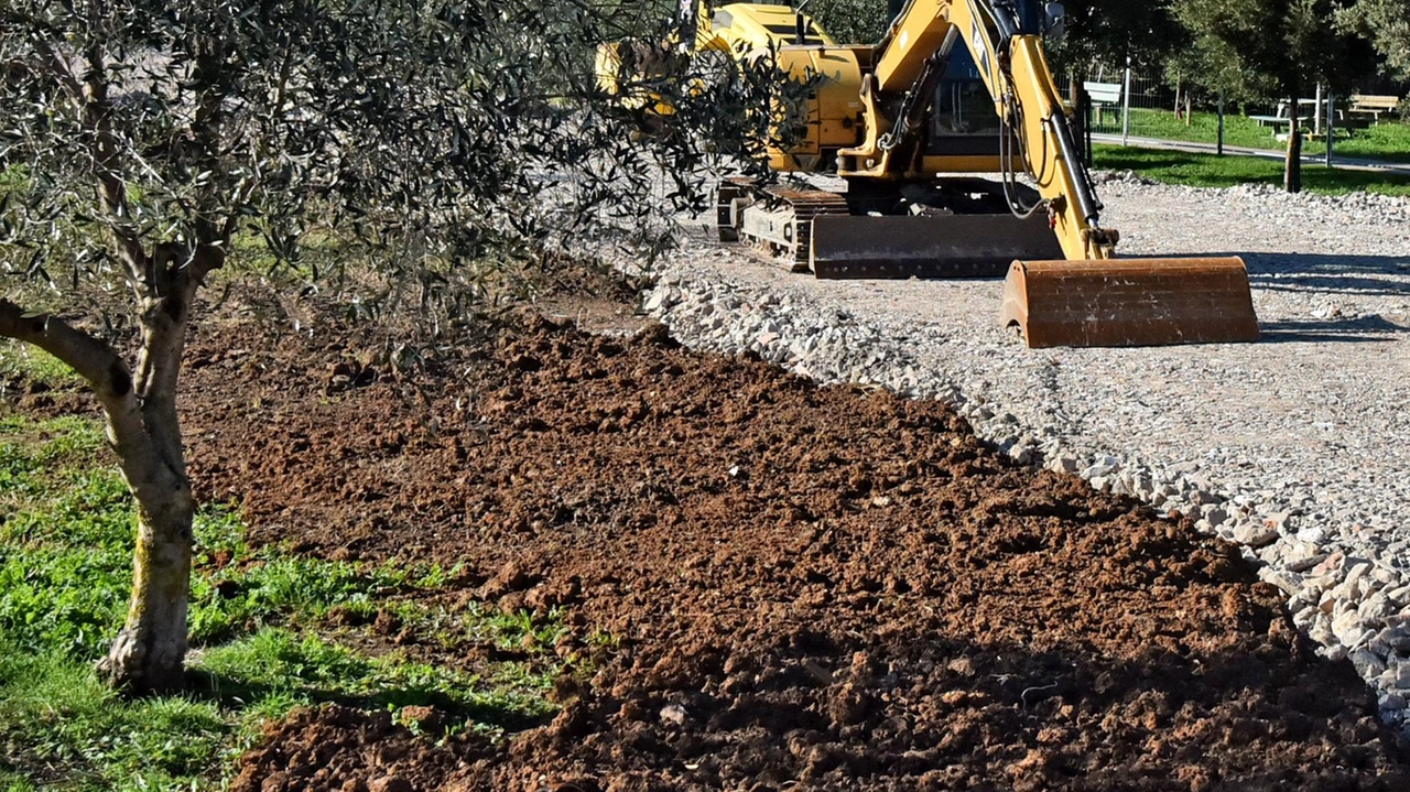 L’area dell’ex depuratore sarà al centro di lavori che cambieranno profondamente l’intera zona dove sorgerà anche un parcheggio L’area dell’ex depuratore sarà al centro di lavori che cambieranno profondamente l’intera zona dove sorgerà anche un parcheggio