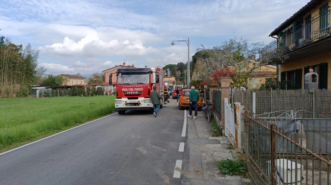 immagine di sfondo 8
