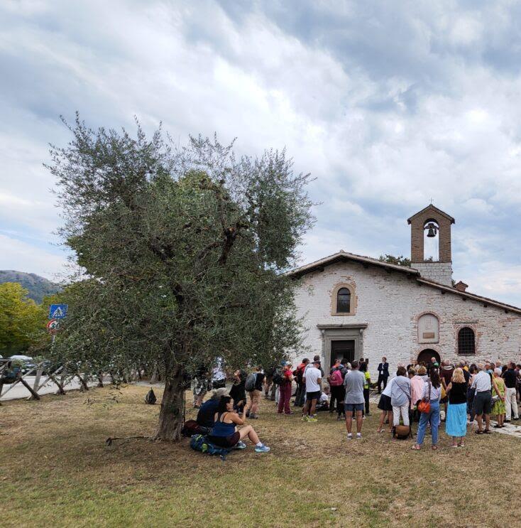 https://www.lanazione.it/image-service/view/acePublic/alias/contentid/NzgzYjM5N2UtNDcxZS00/0/sul-sentiero-di-francesco-a-piedi-seguendo-le-orme-del-poverello-di-assisi.jpeg?f=1.91:1&w=1200