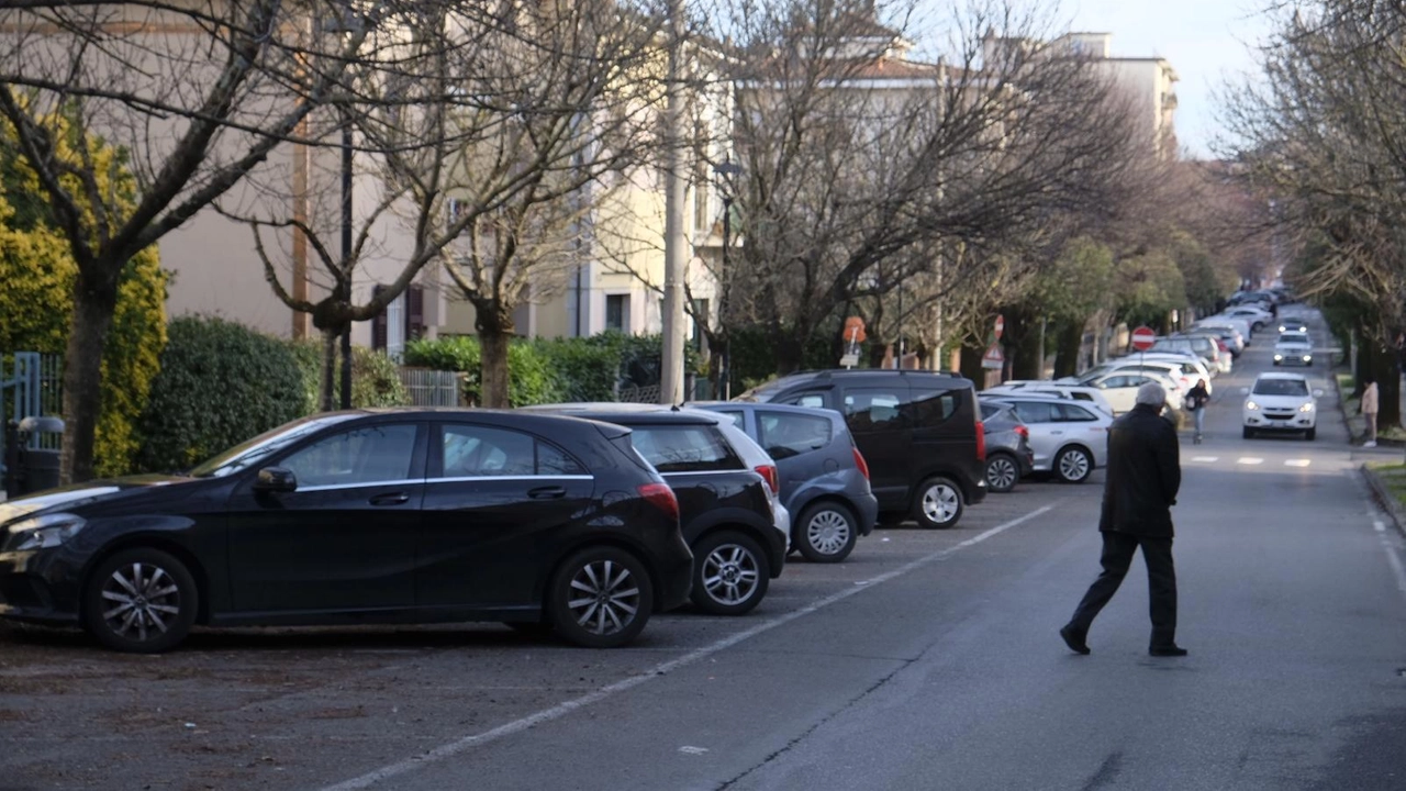Il viale della Pace avrà un potenziamento del sistema di illuminazione Il viale della Pace avrà un potenziamento del sistema di illuminazione