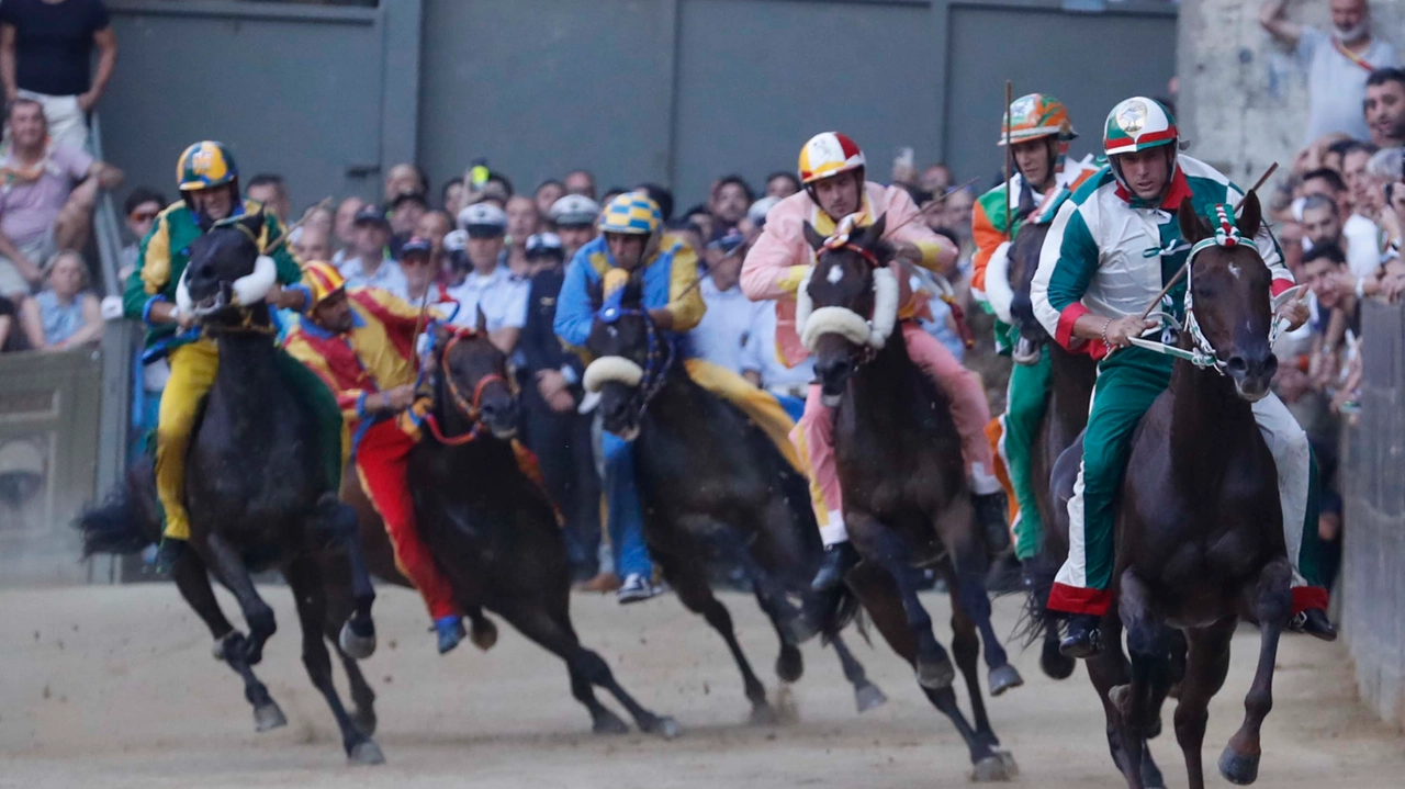 Tittia, nella foto all'estrema destra, in testa al primo Casato: vincerà la carriera di luglio (Lazzeroni)