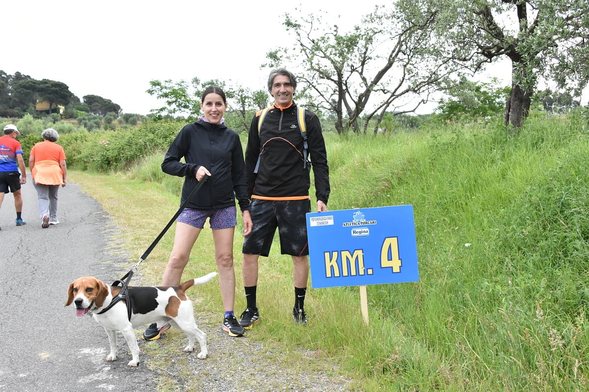 immagine di sfondo 11