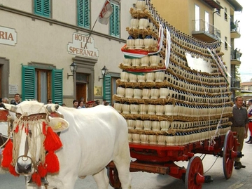 immagine articolo
