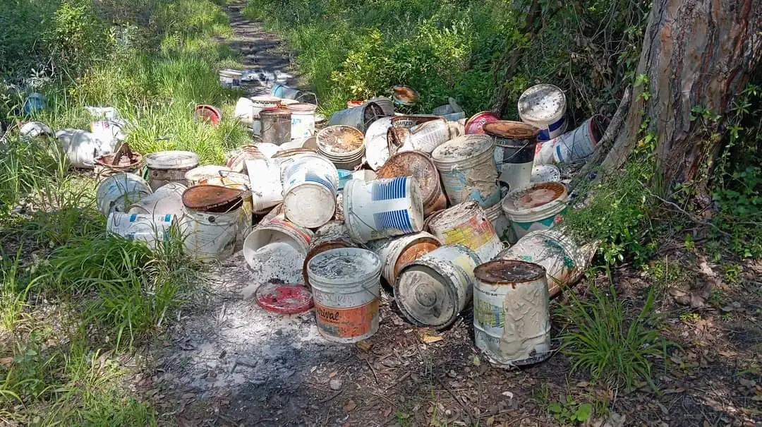 Una ferita nella Pineta. Valanga di bidoni scaricati nel parco