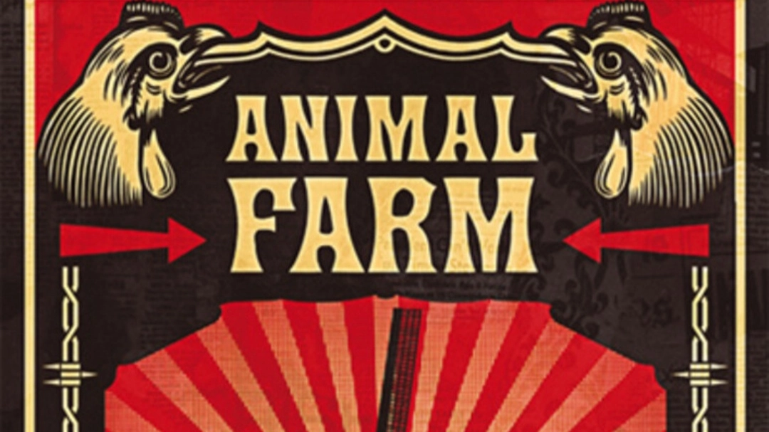 La fattoria degli animali (foto da Ansa) La fattoria degli animali (foto da Ansa)