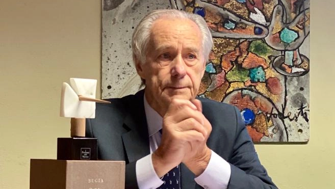 Il parco di Pinocchio si prepara al Natale. Un grande albero e le letterine dei bimbi