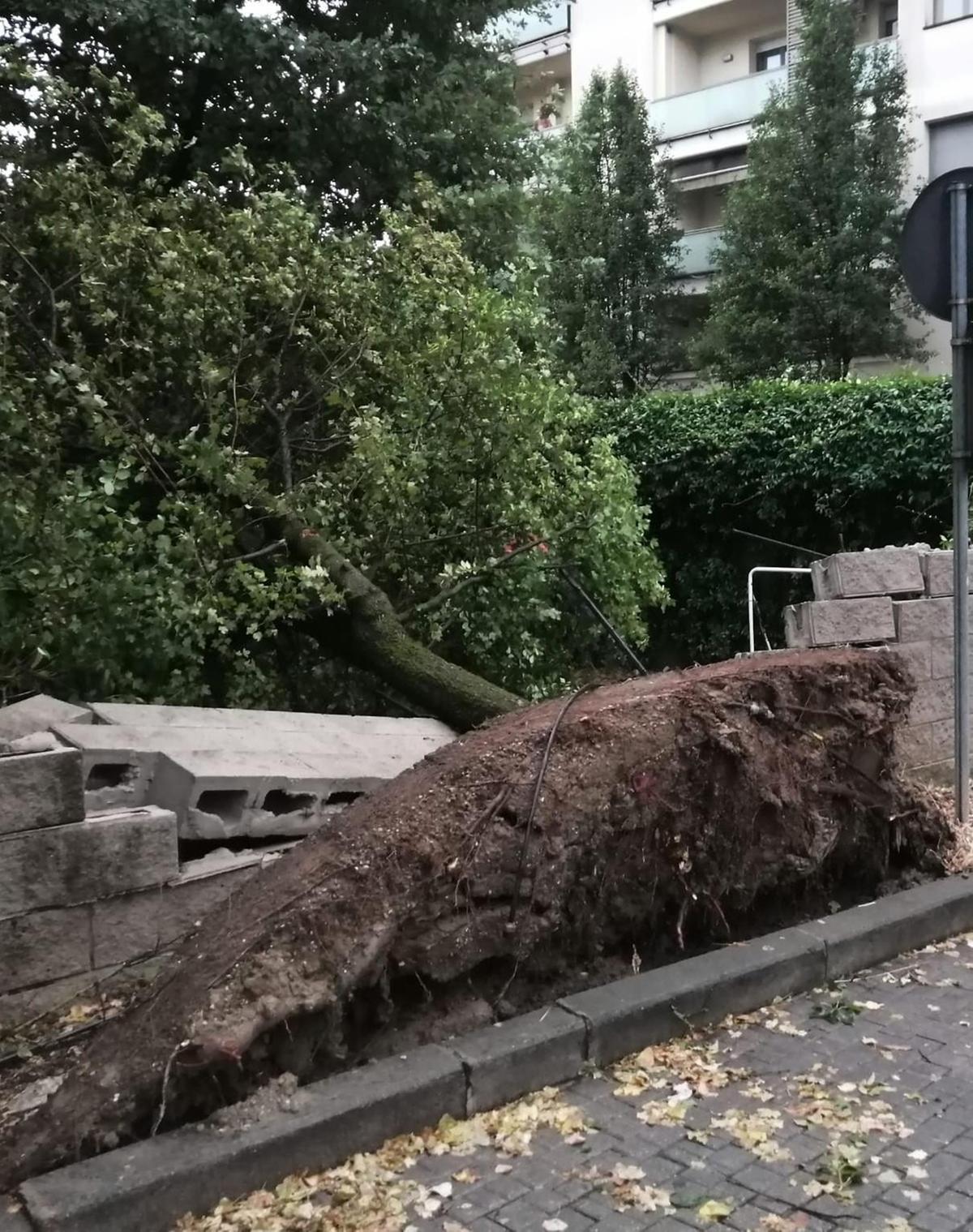 La bomba d’acqua. In mezz’ora alberi caduti e allagamenti
