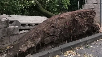 La bomba d’acqua. In mezz’ora alberi caduti e allagamenti