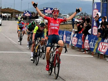 immagine articolo