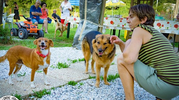 L’associazione di Pietrasanta ha promosso un’iniziativa sulla "consapevolezza". Bertolozzi: "Ogni cane che torna al rifugio è una sconfitta, ma se trovano casa rinascono". L’associazione di Pietrasanta ha promosso un’iniziativa sulla "consapevolezza". Bertolozzi: "Ogni cane che torna al rifugio è una sconfitta, ma se trovano casa rinascono".