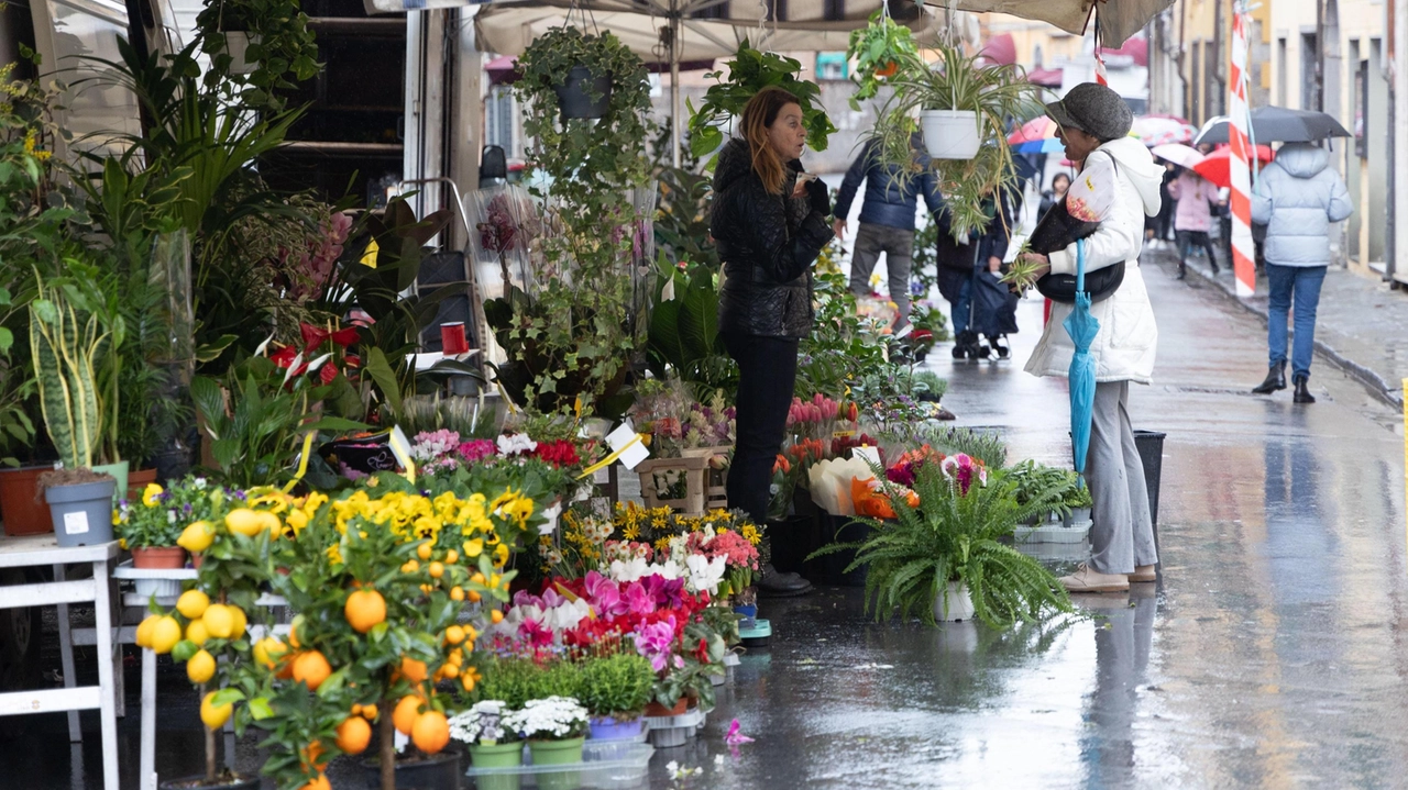 Polemiche sul trasferimento del mercato storico di via San Martino in piazza Toniolo. I commercianti della zona hanno lanciato una petizione Polemiche sul trasferimento del mercato storico di via San Martino in piazza Toniolo. I commercianti della zona hanno lanciato una petizione