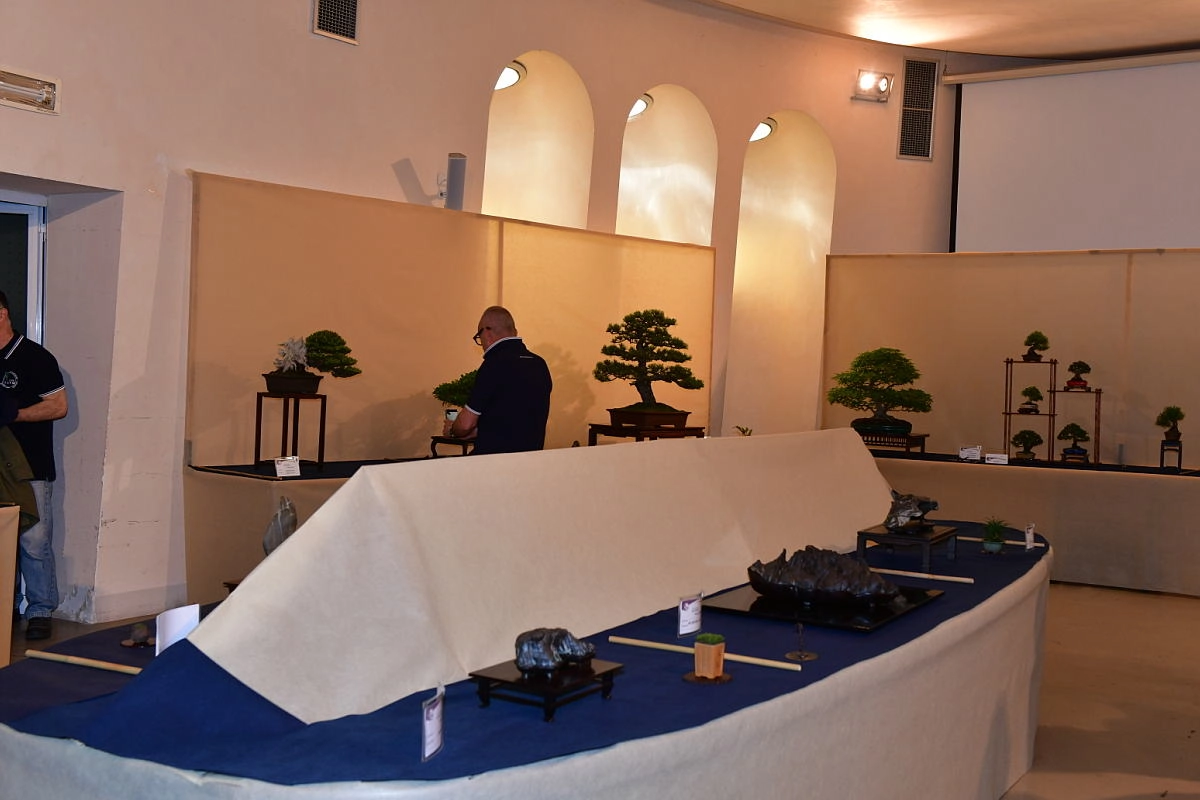 immagine di sfondo 3