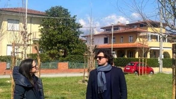Una delle piantumazioni eseguite sul territorio nei mesi scorsi. Sono tanti gli alberi messi a dimora e gli esperti illustreranno le positive ricadute sul territorio per la presenza di aree verdi Una delle piantumazioni eseguite sul territorio nei mesi scorsi. Sono tanti gli alberi messi a dimora e gli esperti illustreranno le positive ricadute sul territorio per la presenza di aree verdi
