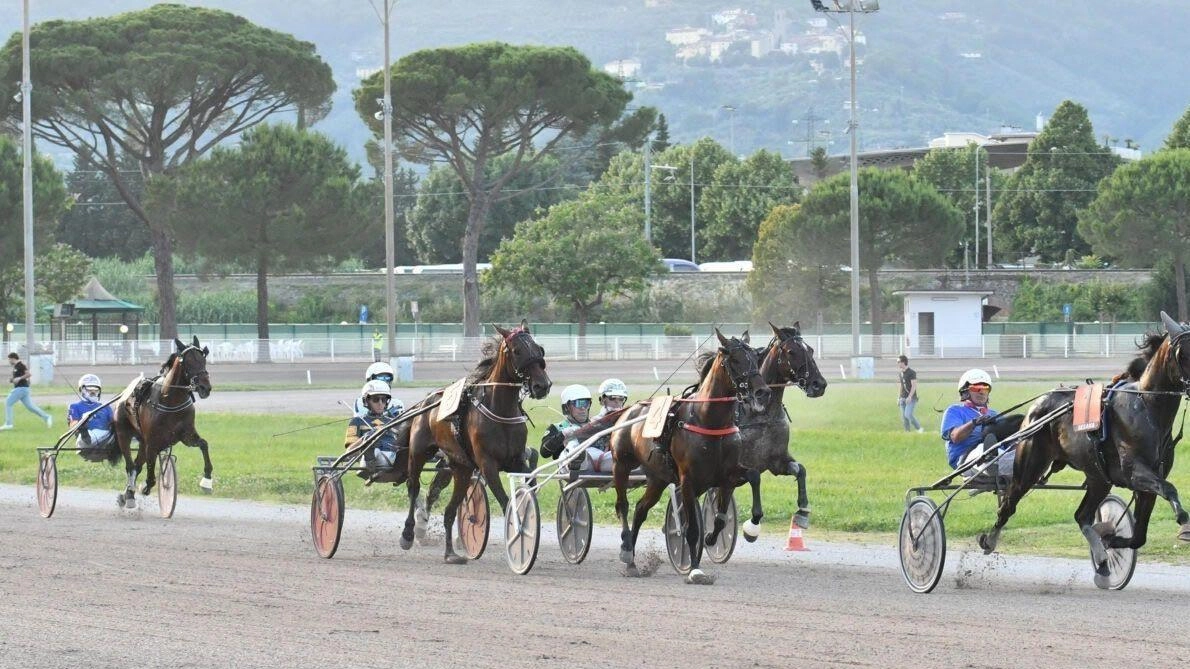 L’ippodromo Snai Sesana di Montecatini Terme aprirà eccezionalmente, di pomeriggio alle ore 15 e le corse al trotto avranno inizio alle ore 17,30 Le serate proseguiranno tra concerti e intrattenimento L’ippodromo Snai Sesana di Montecatini Terme aprirà eccezionalmente, di pomeriggio alle ore 15 e le corse al trotto avranno inizio alle ore 17,30 Le serate proseguiranno tra concerti e intrattenimento