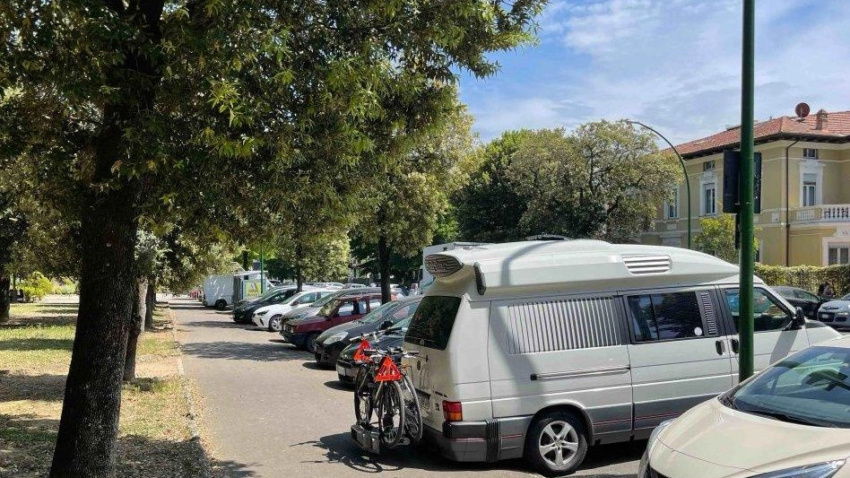 Durante un controllo, il Comune ha constatato che un albero di leccio posto su viale Vittorio Veneto sta seccando e... Durante un controllo, il Comune ha constatato che un albero di leccio posto su viale Vittorio Veneto sta seccando e...