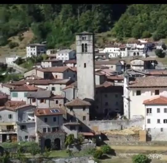 https://www.lanazione.it/image-service/view/acePublic/alias/contentid/ODA0ZjJjOWYtMTcwZi00/0/tra-i-laboratori-dei-territori-ce-san-romano.jpeg