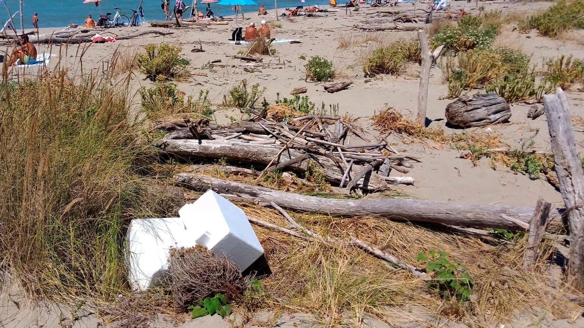 Negli anni '60 nasceva la "Trash Art" per dare nuova vita ai rifiuti. Oggi, a Torre del Lago, la spiaggia della Lecciona è invasa dai rifiuti, denuncia Italia Nostra Versilia. Urgono provvedimenti per proteggere l'ambiente. Negli anni '60 nasceva la "Trash Art" per dare nuova vita ai rifiuti. Oggi, a Torre del Lago, la spiaggia della Lecciona è invasa dai rifiuti, denuncia Italia Nostra Versilia. Urgono provvedimenti per proteggere l'ambiente.