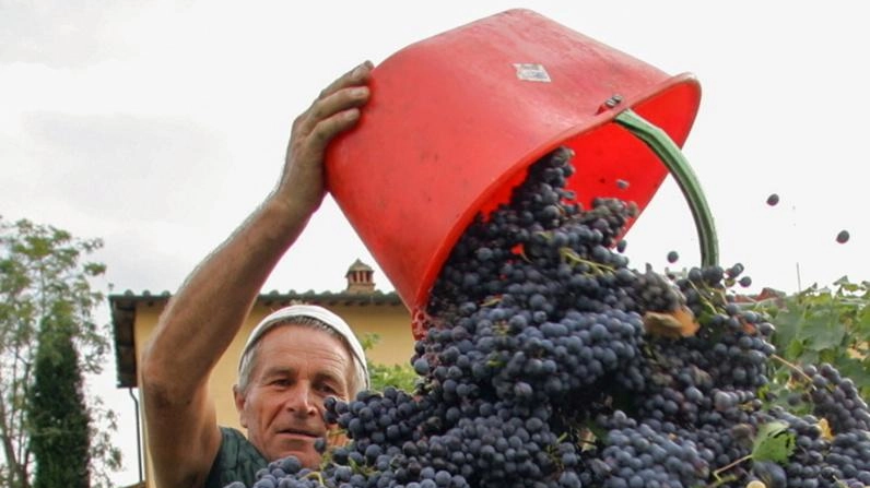 Consorzio Chianti Colli Senesi: protagonisti a Wine&Siena con vini eccellenti