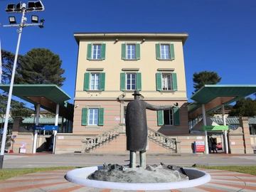 immagine articolo